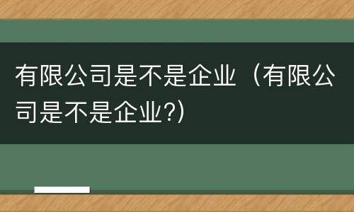 有限公司是不是企业（有限公司是不是企业?）