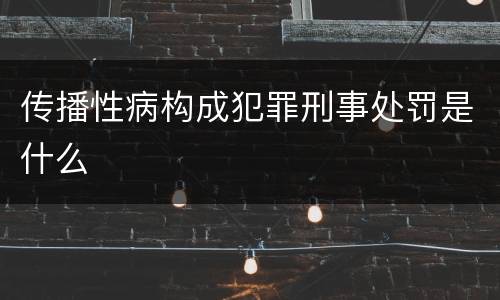 传播性病构成犯罪刑事处罚是什么