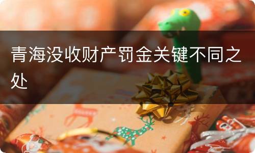 青海没收财产罚金关键不同之处