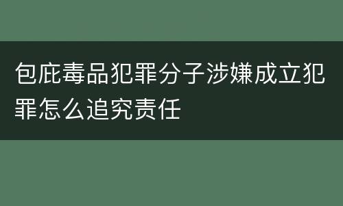 包庇毒品犯罪分子涉嫌成立犯罪怎么追究责任