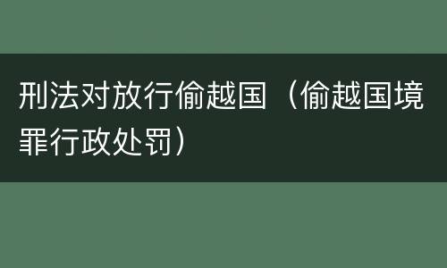 刑法对放行偷越国（偷越国境罪行政处罚）
