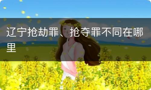 辽宁抢劫罪、抢夺罪不同在哪里