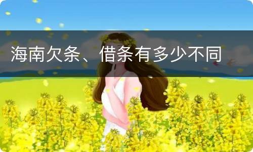 海南欠条、借条有多少不同