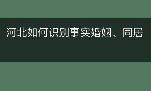河北如何识别事实婚姻、同居
