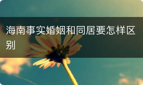 海南事实婚姻和同居要怎样区别