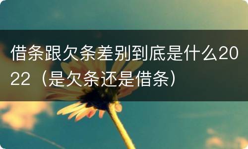 借条跟欠条差别到底是什么2022（是欠条还是借条）
