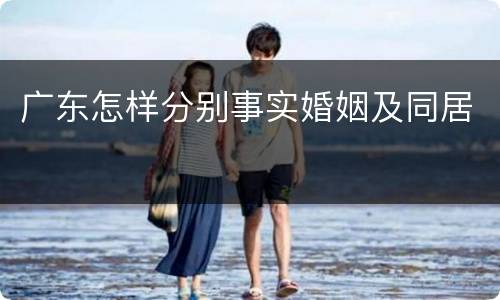 广东怎样分别事实婚姻及同居