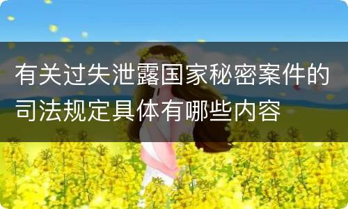 有关过失泄露国家秘密案件的司法规定具体有哪些内容