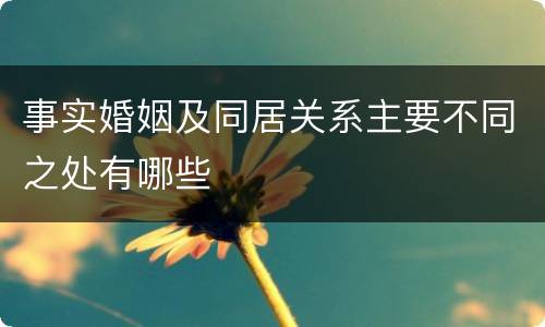 事实婚姻及同居关系主要不同之处有哪些