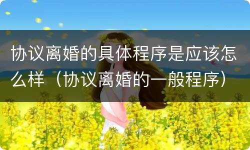 协议离婚的具体程序是应该怎么样（协议离婚的一般程序）