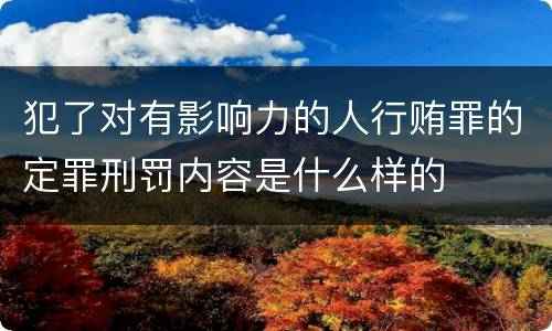 犯了对有影响力的人行贿罪的定罪刑罚内容是什么样的