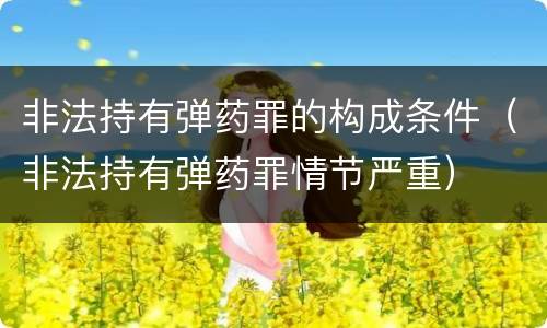 非法持有弹药罪的构成条件（非法持有弹药罪情节严重）