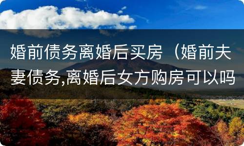 婚前债务离婚后买房（婚前夫妻债务,离婚后女方购房可以吗）