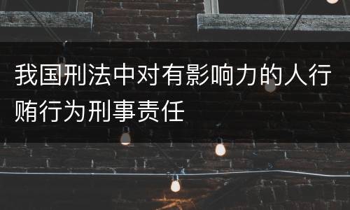我国刑法中对有影响力的人行贿行为刑事责任