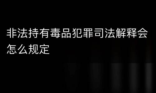 非法持有毒品犯罪司法解释会怎么规定