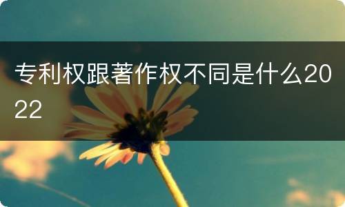专利权跟著作权不同是什么2022