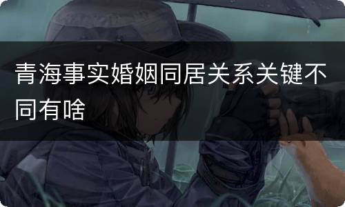 青海事实婚姻同居关系关键不同有啥