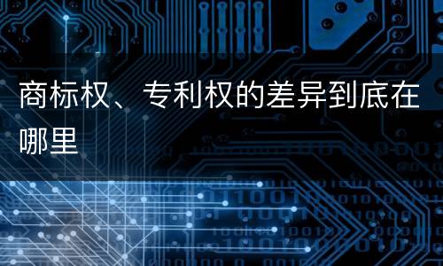 商标权、专利权的差异到底在哪里
