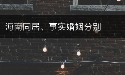 海南同居、事实婚姻分别