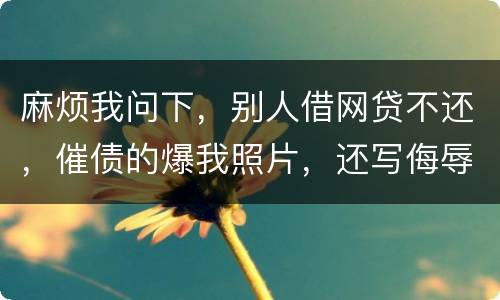 麻烦我问下，别人借网贷不还，催债的爆我照片，还写侮辱的话，犯法么，我要怎么做