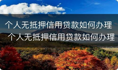 个人无抵押信用贷款如何办理 个人无抵押信用贷款如何办理手续