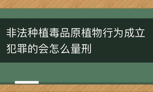 非法种植毒品原植物行为成立犯罪的会怎么量刑