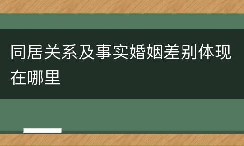 同居关系及事实婚姻差别体现在哪里