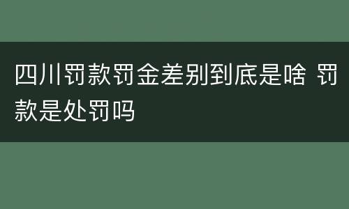 四川罚款罚金差别到底是啥 罚款是处罚吗