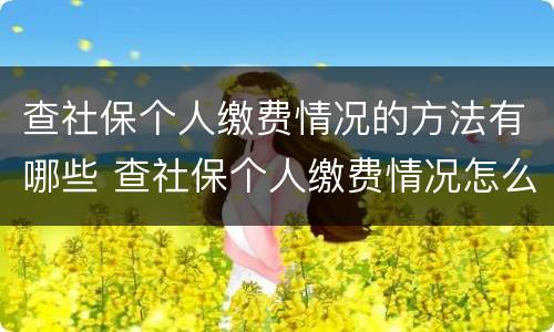 查社保个人缴费情况的方法有哪些 查社保个人缴费情况怎么查