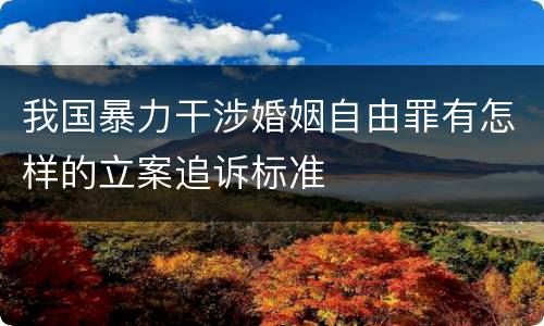 我国暴力干涉婚姻自由罪有怎样的立案追诉标准