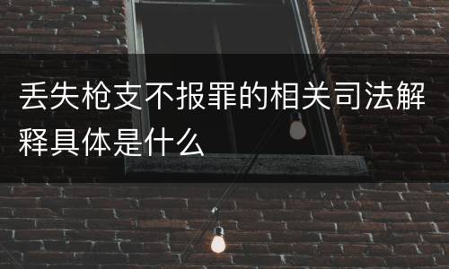 丢失枪支不报罪的相关司法解释具体是什么