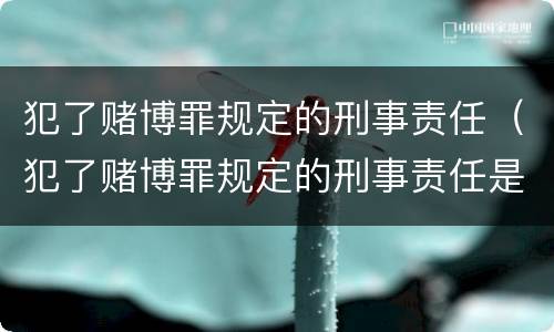 犯了赌博罪规定的刑事责任（犯了赌博罪规定的刑事责任是多少）