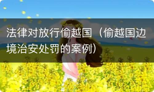 法律对放行偷越国（偷越国边境治安处罚的案例）