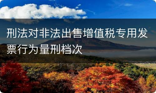 刑法对非法出售增值税专用发票行为量刑档次