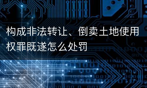 构成非法转让、倒卖土地使用权罪既遂怎么处罚