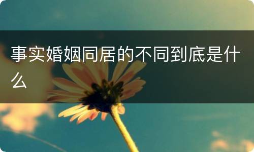 事实婚姻同居的不同到底是什么