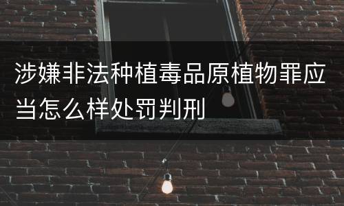涉嫌非法种植毒品原植物罪应当怎么样处罚判刑