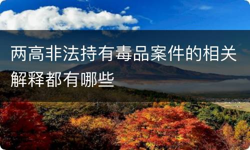 两高非法持有毒品案件的相关解释都有哪些