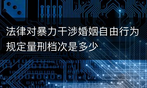 法律对暴力干涉婚姻自由行为规定量刑档次是多少
