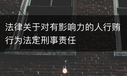 法律关于对有影响力的人行贿行为法定刑事责任