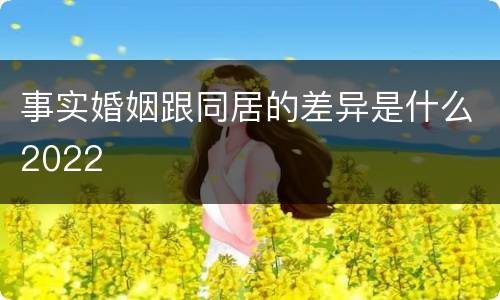 事实婚姻跟同居的差异是什么2022