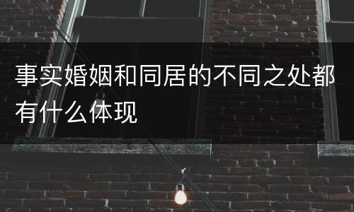 事实婚姻和同居的不同之处都有什么体现