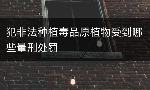 犯非法种植毒品原植物受到哪些量刑处罚