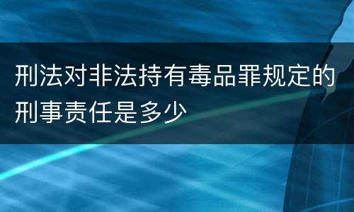 刑法对非法持有毒品罪规定的刑事责任是多少