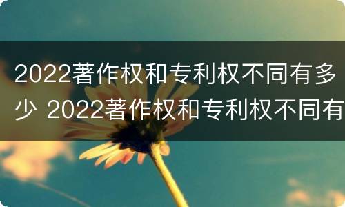 2022著作权和专利权不同有多少 2022著作权和专利权不同有多少项