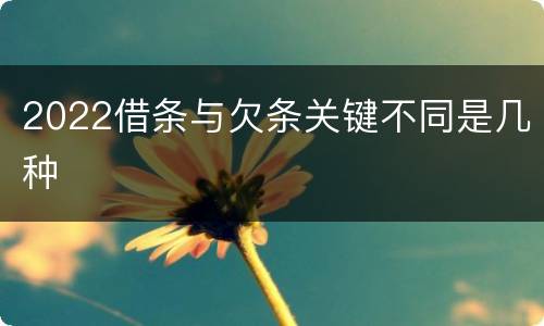 2022借条与欠条关键不同是几种