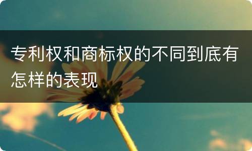 专利权和商标权的不同到底有怎样的表现