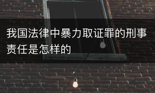 我国法律中暴力取证罪的刑事责任是怎样的