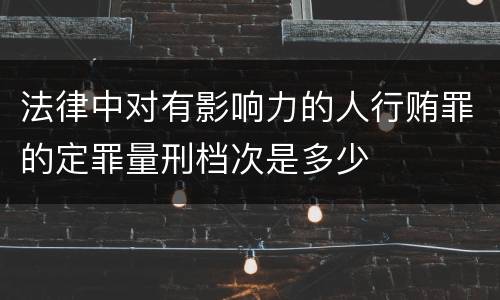 法律中对有影响力的人行贿罪的定罪量刑档次是多少