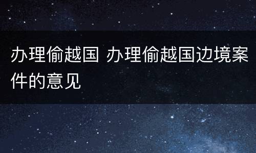 办理偷越国 办理偷越国边境案件的意见